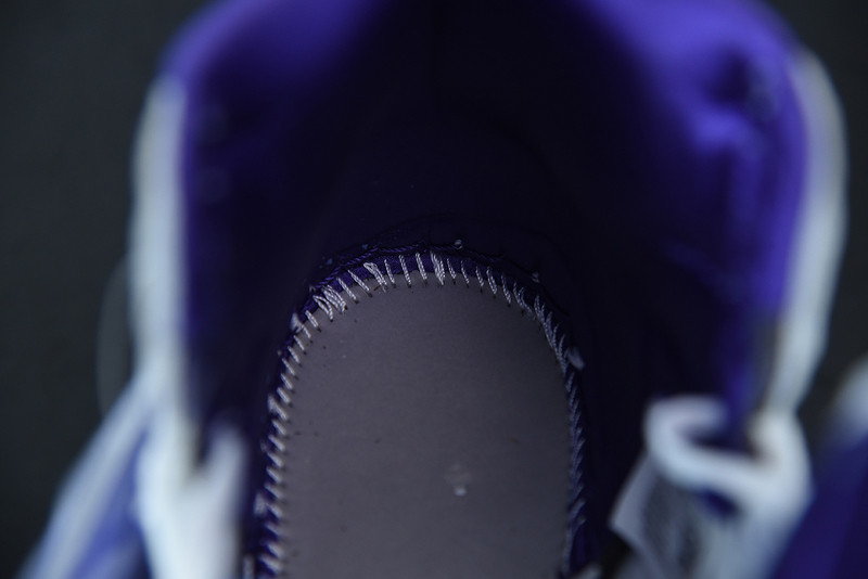 AIR JORDAN 1 RETRO HIGH COURT PURPLE CD0461-151