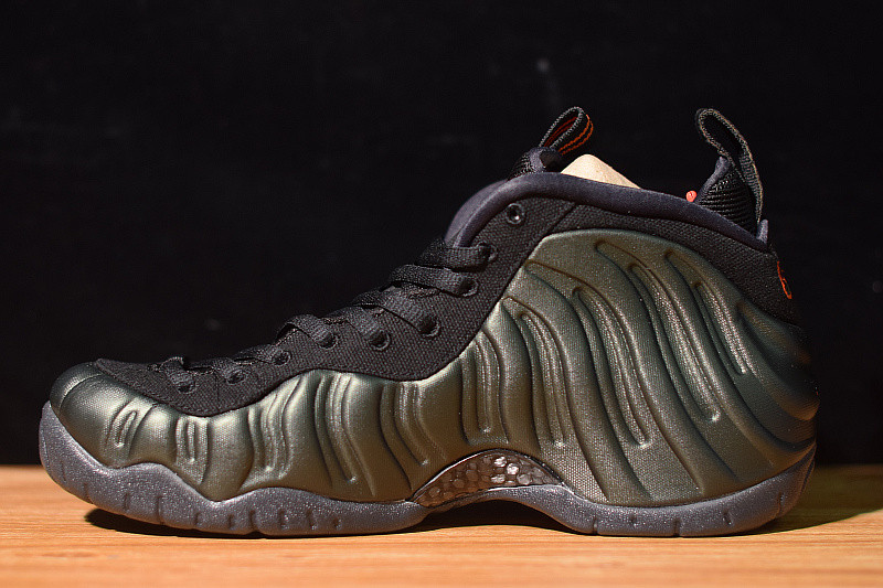 NIKE AIR FOAMPOSITE  PRO SEQUOIA 624041-304