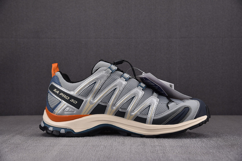 SALOMON XA Pro ADV