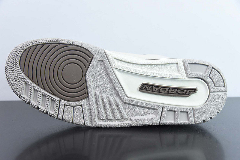 Air Jordan 3 "Palamino" CT8532-102