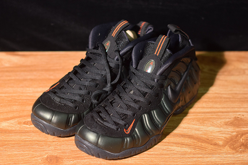 NIKE AIR FOAMPOSITE  PRO SEQUOIA 624041-304