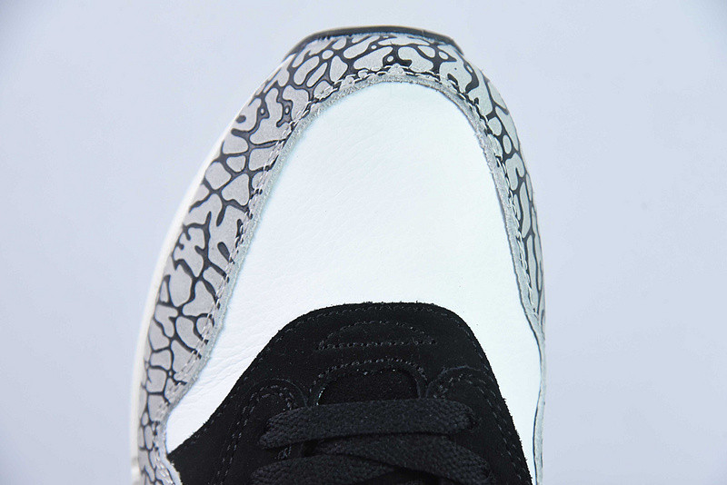 Nike Atmos x Air Max 1 Retro 