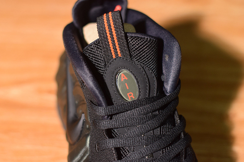 NIKE AIR FOAMPOSITE  PRO SEQUOIA 624041-304