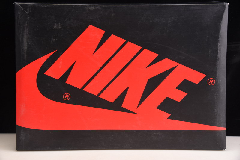AIR JORDAN 1 HIGH OG “SATIN SNAKE” CD0461-601